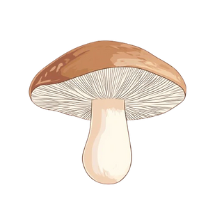 SHITAKE